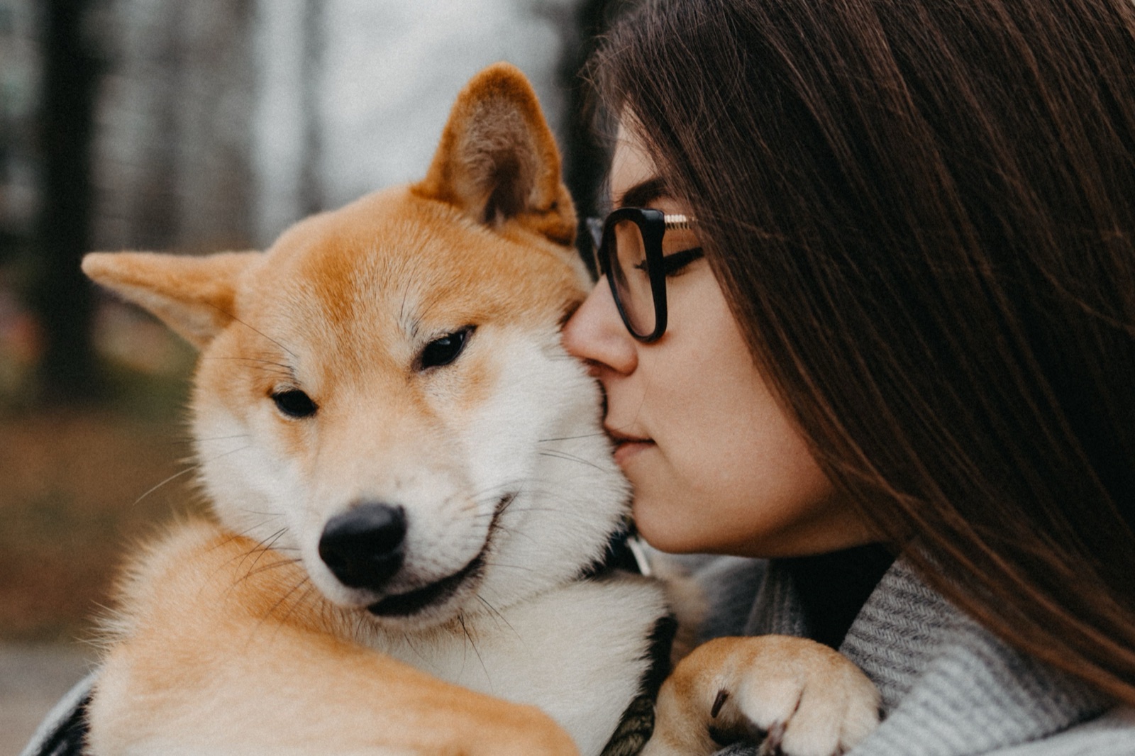 Cão com ansiedade de separação à espera junto à porta